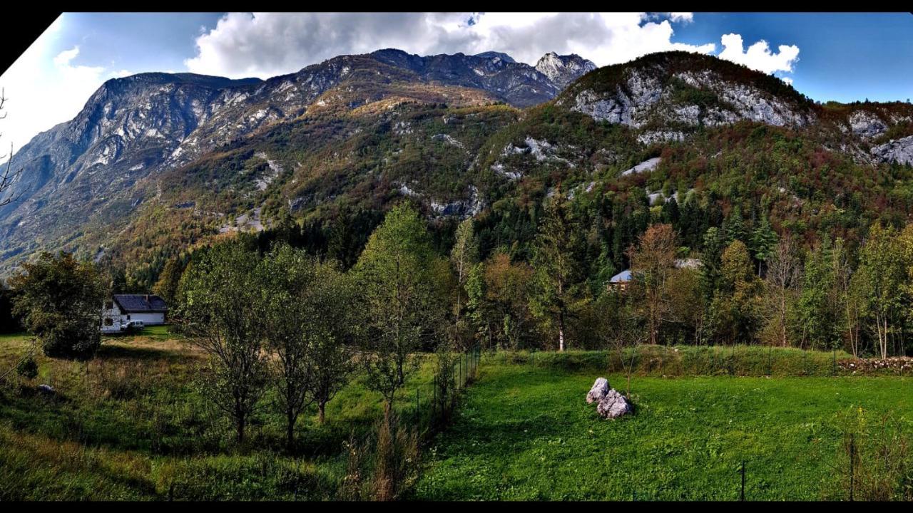 Bovec Home At Three Samoyeds Soča Exterior foto