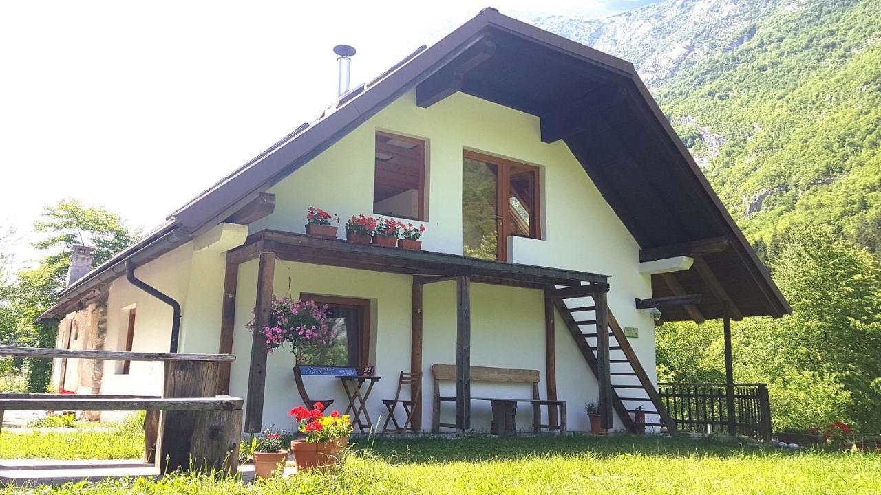 Bovec Home At Three Samoyeds Soča Exterior foto