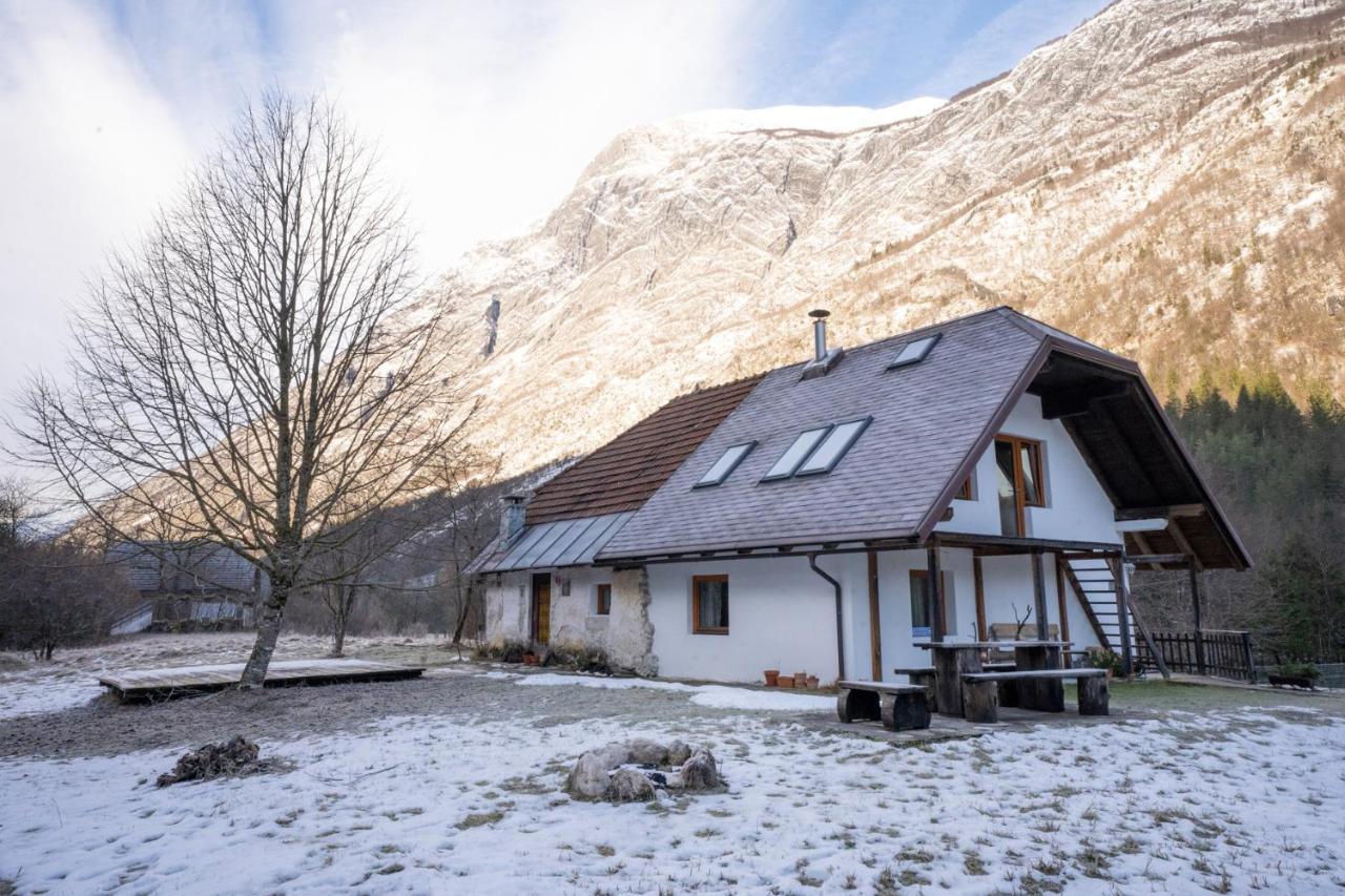 Bovec Home At Three Samoyeds Soča Exterior foto