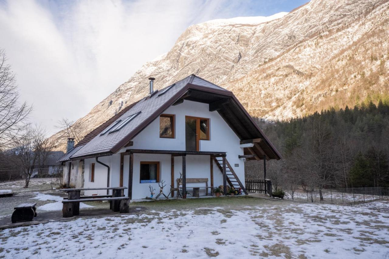 Bovec Home At Three Samoyeds Soča Exterior foto