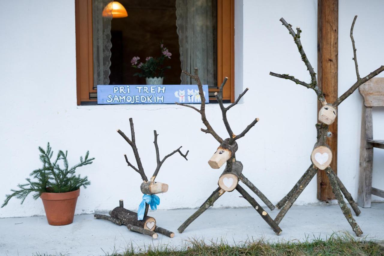 Bovec Home At Three Samoyeds Soča Exterior foto