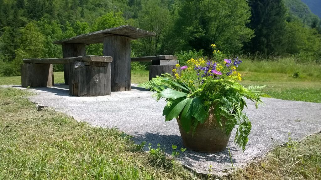 Bovec Home At Three Samoyeds Soča Exterior foto