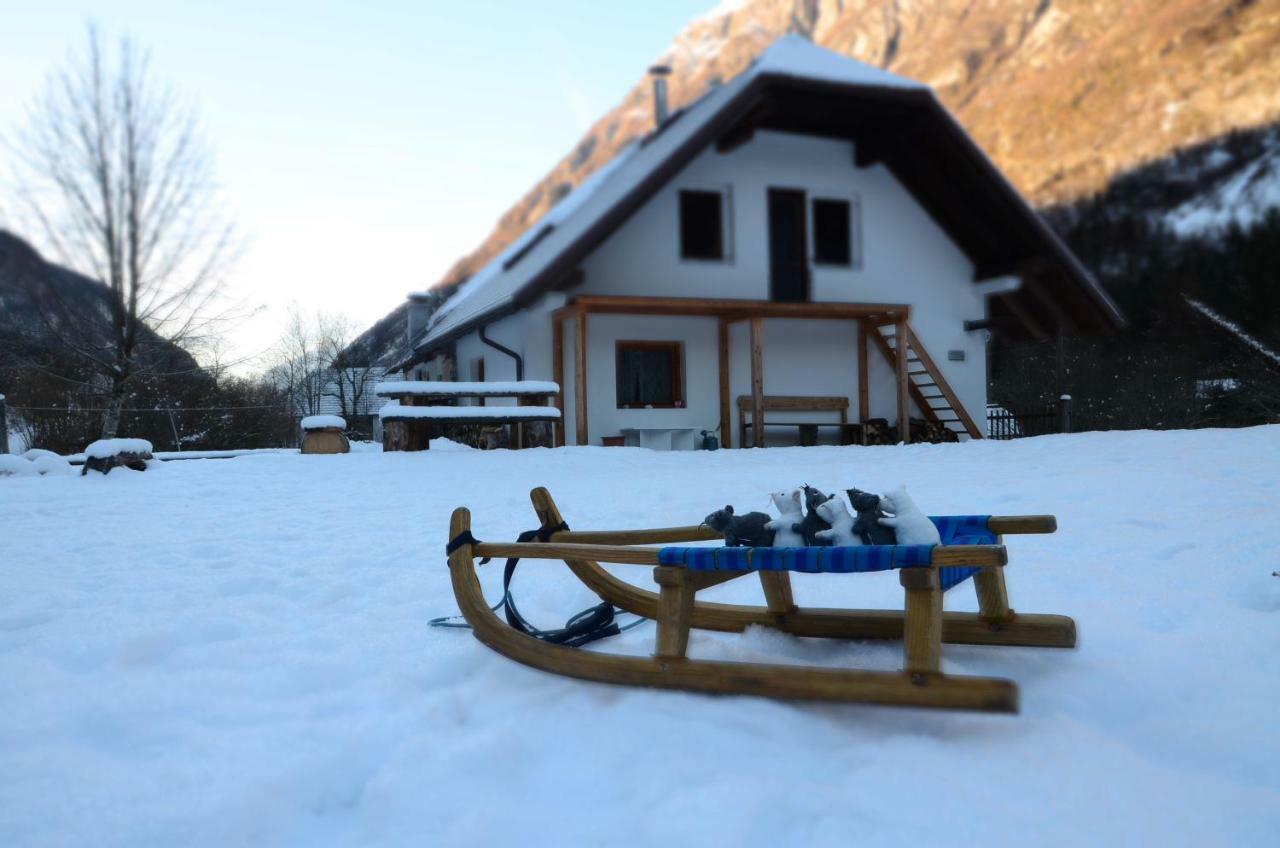 Bovec Home At Three Samoyeds Soča Exterior foto