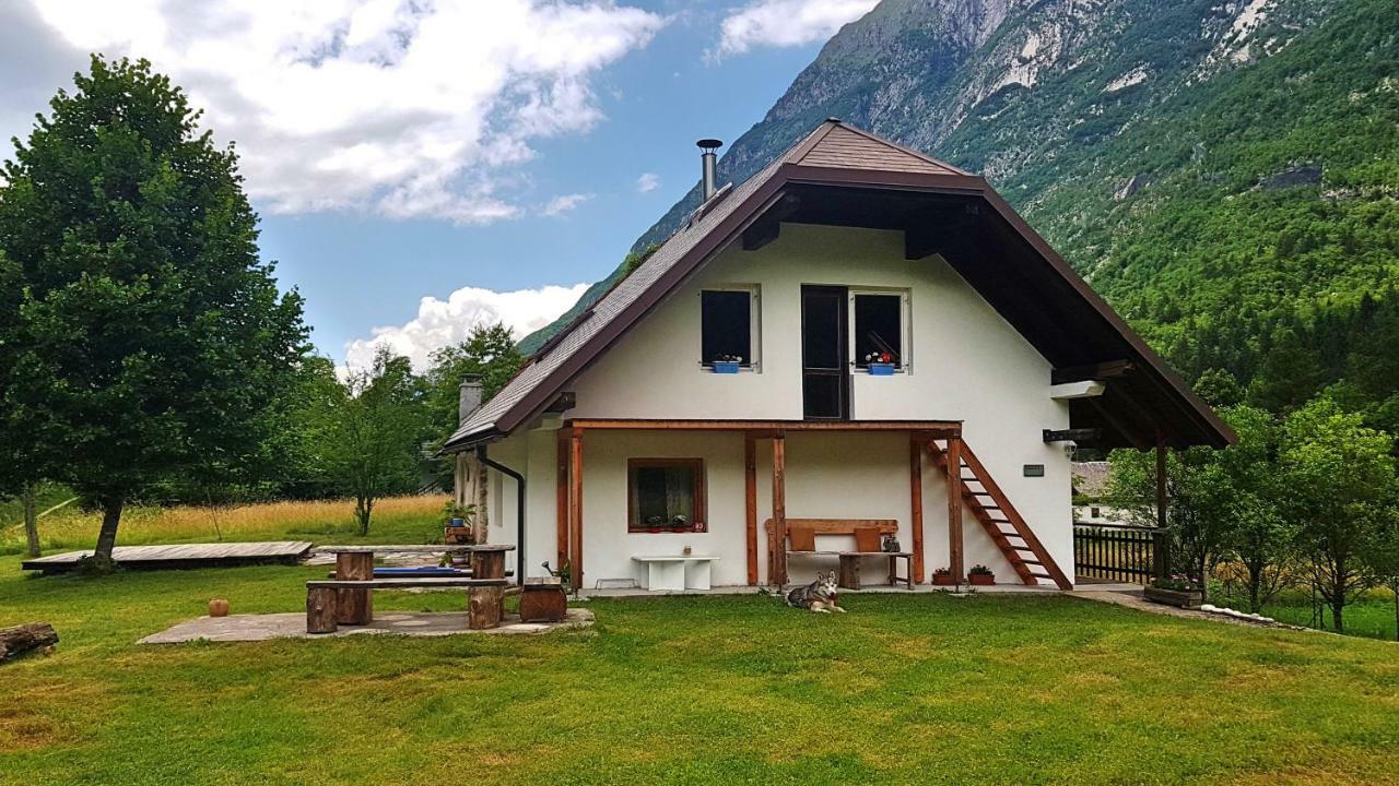 Bovec Home At Three Samoyeds Soča Exterior foto